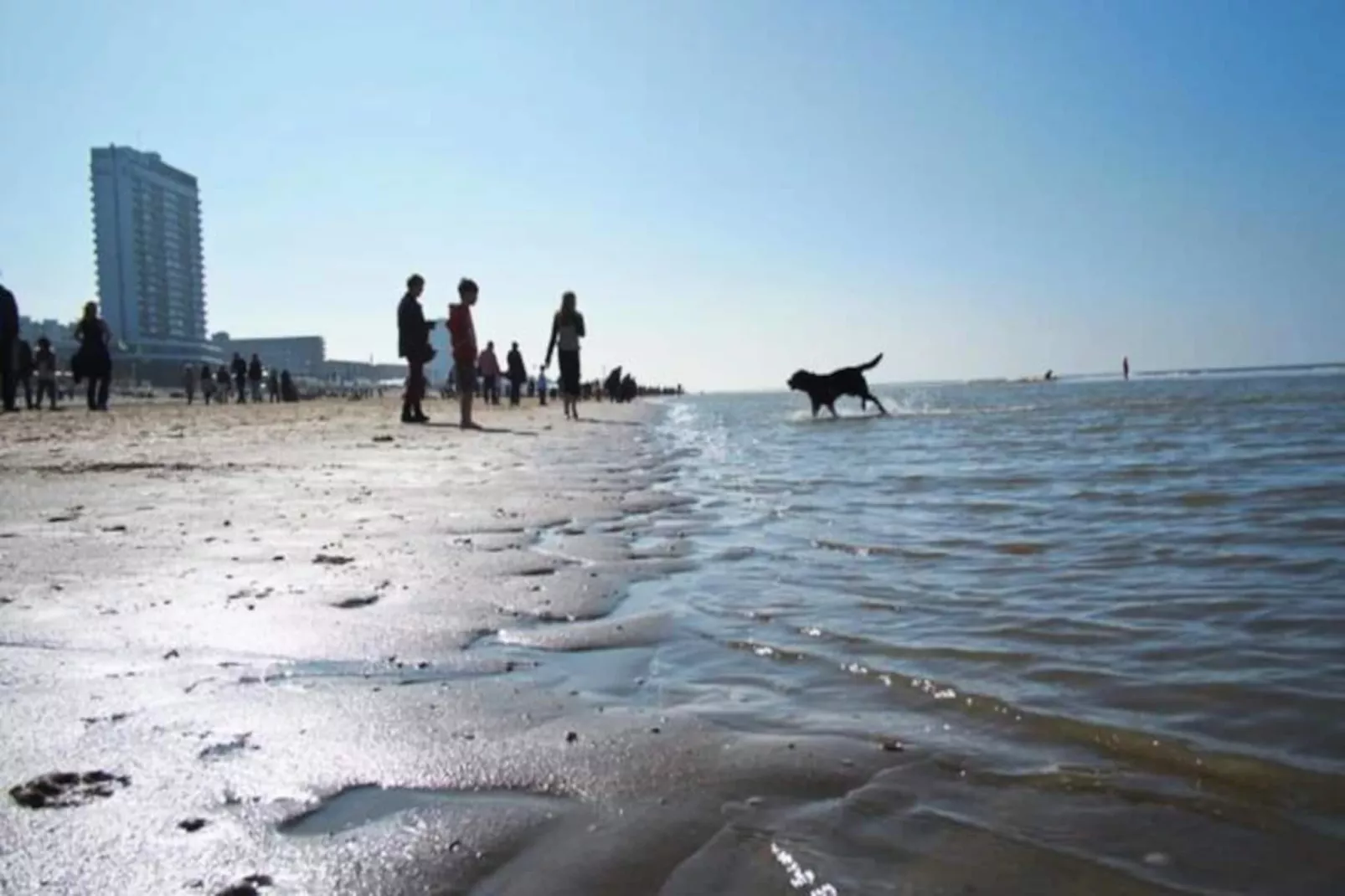 Studio Zwinkels-Non tagué