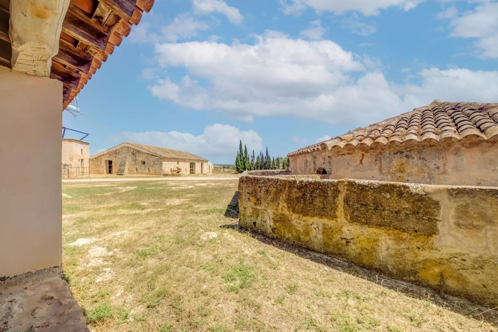 Gallinero-Areas within 1km in summer