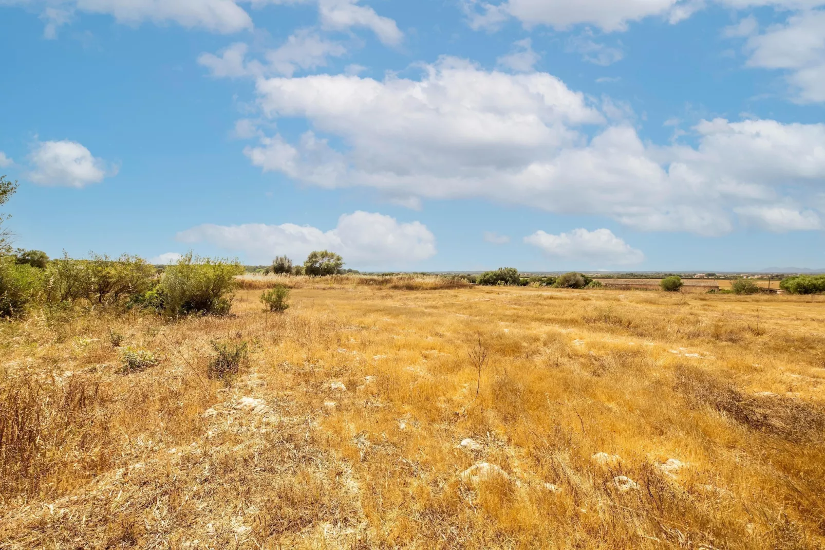 El Taller-Areas within 1km in summer