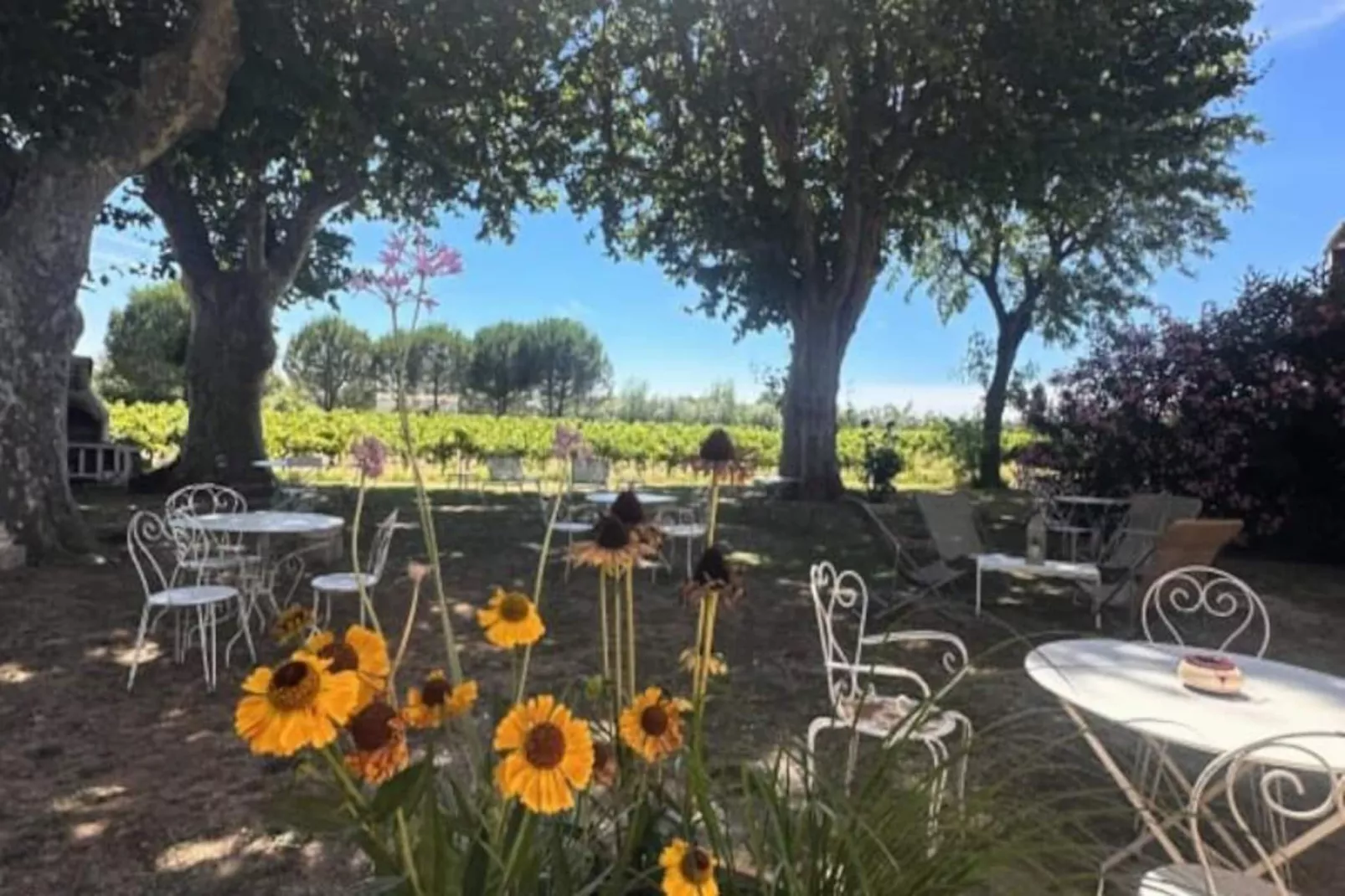 Résidence La Maison De Constance - Charmante Maison Proven&ccedil;ale 3 Chambres-Untagged