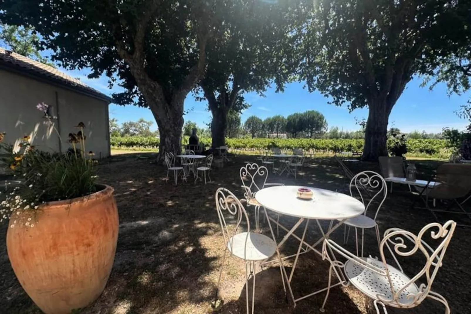 Résidence G&icirc;te De La Cave - Charmant G&icirc;te Proven&ccedil;al Avec Une Chambre-Untagged