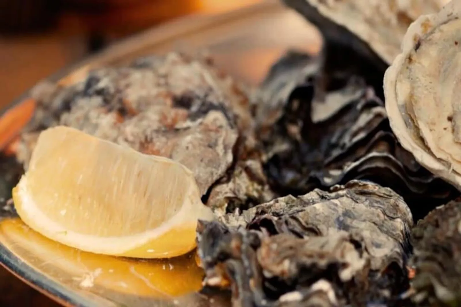 Résidence Studio Les Jardins Du Port  Port Camargue, Avec Piscine &agrave; 2 Pas De La Plage-Non tagué