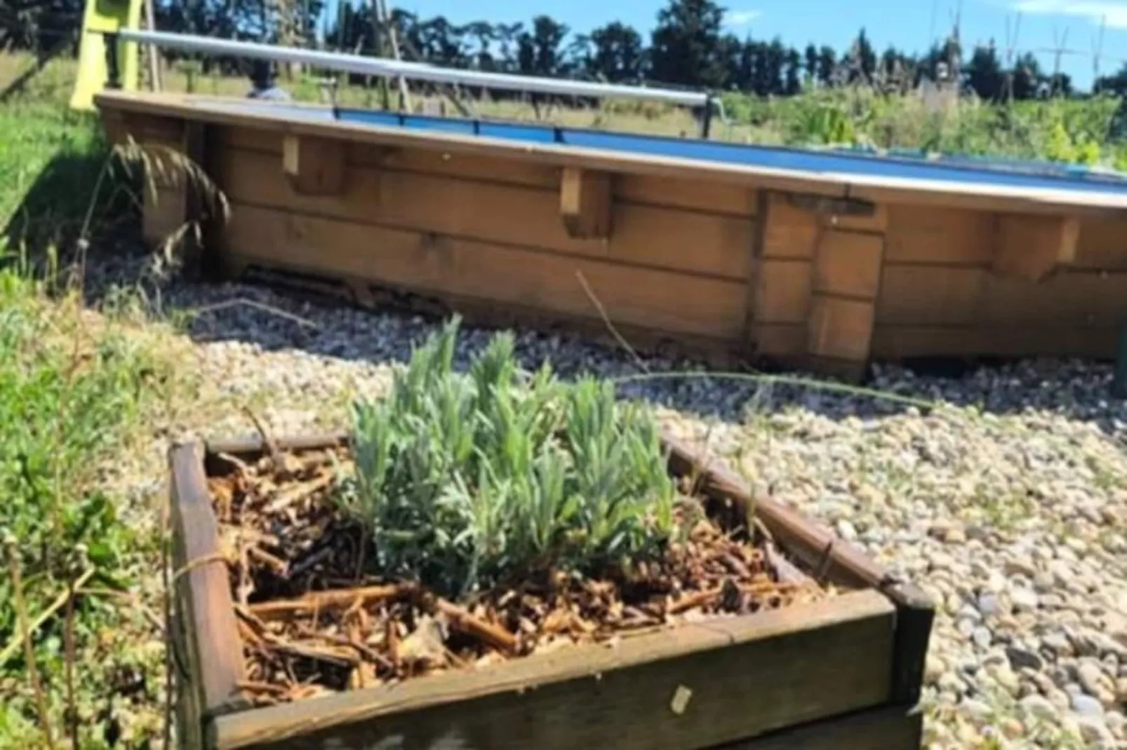 Maison Familiale Avec Piscine - Isle-sur-la-sorgue-Non tagué