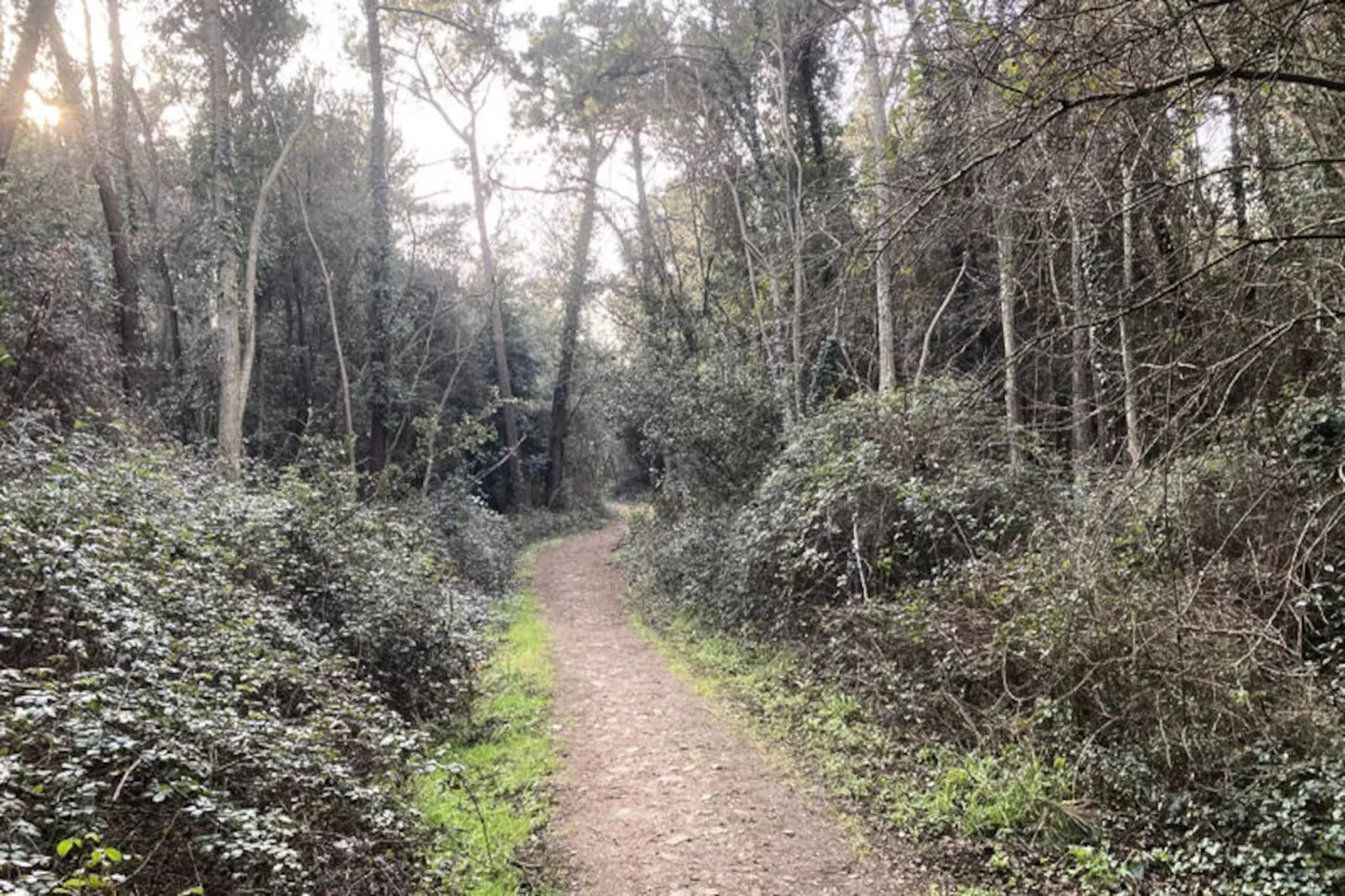 Maison à Les Sables d'Olonne-Non tagué
