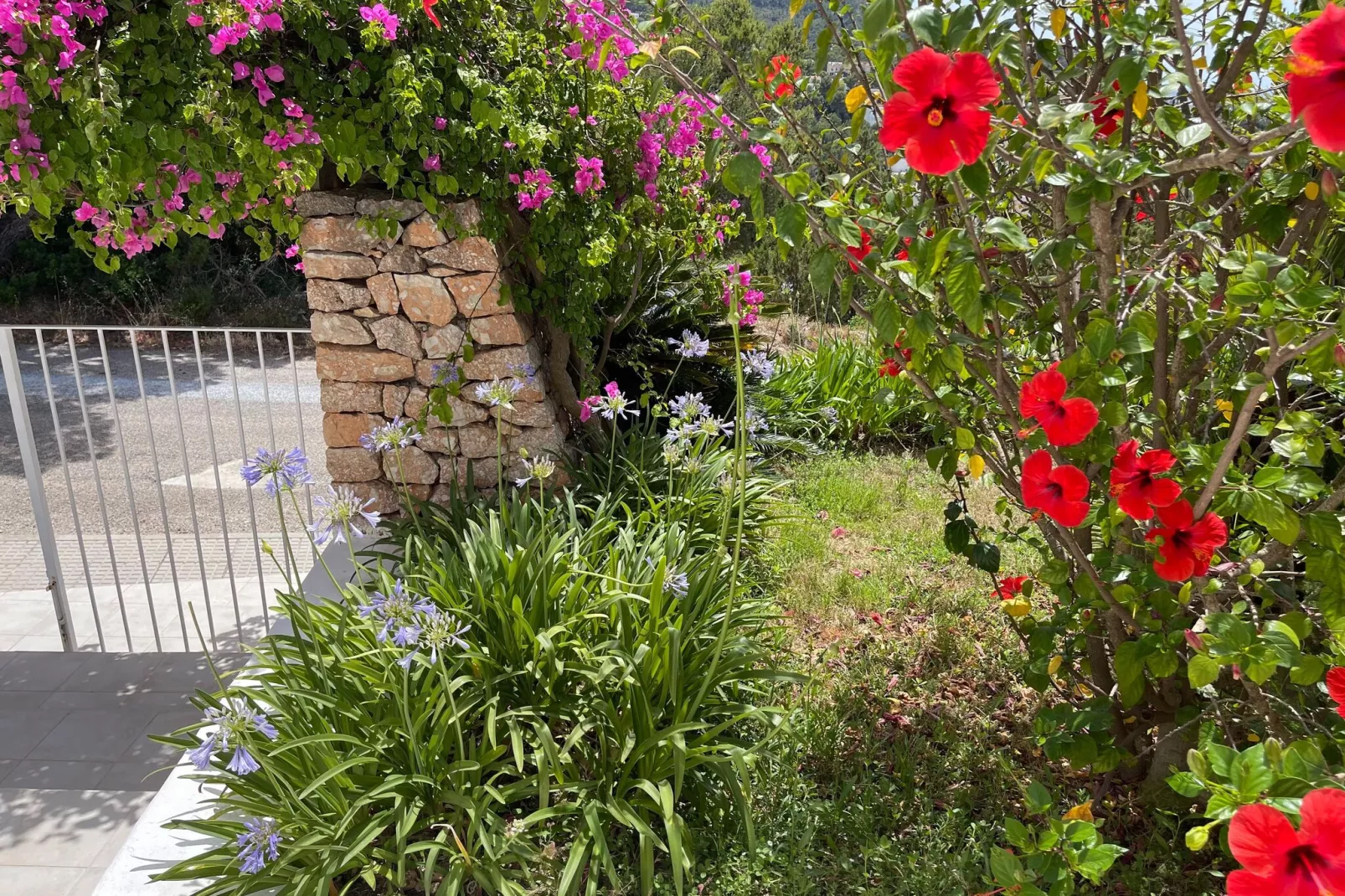 Es Queixal-Gardens summer