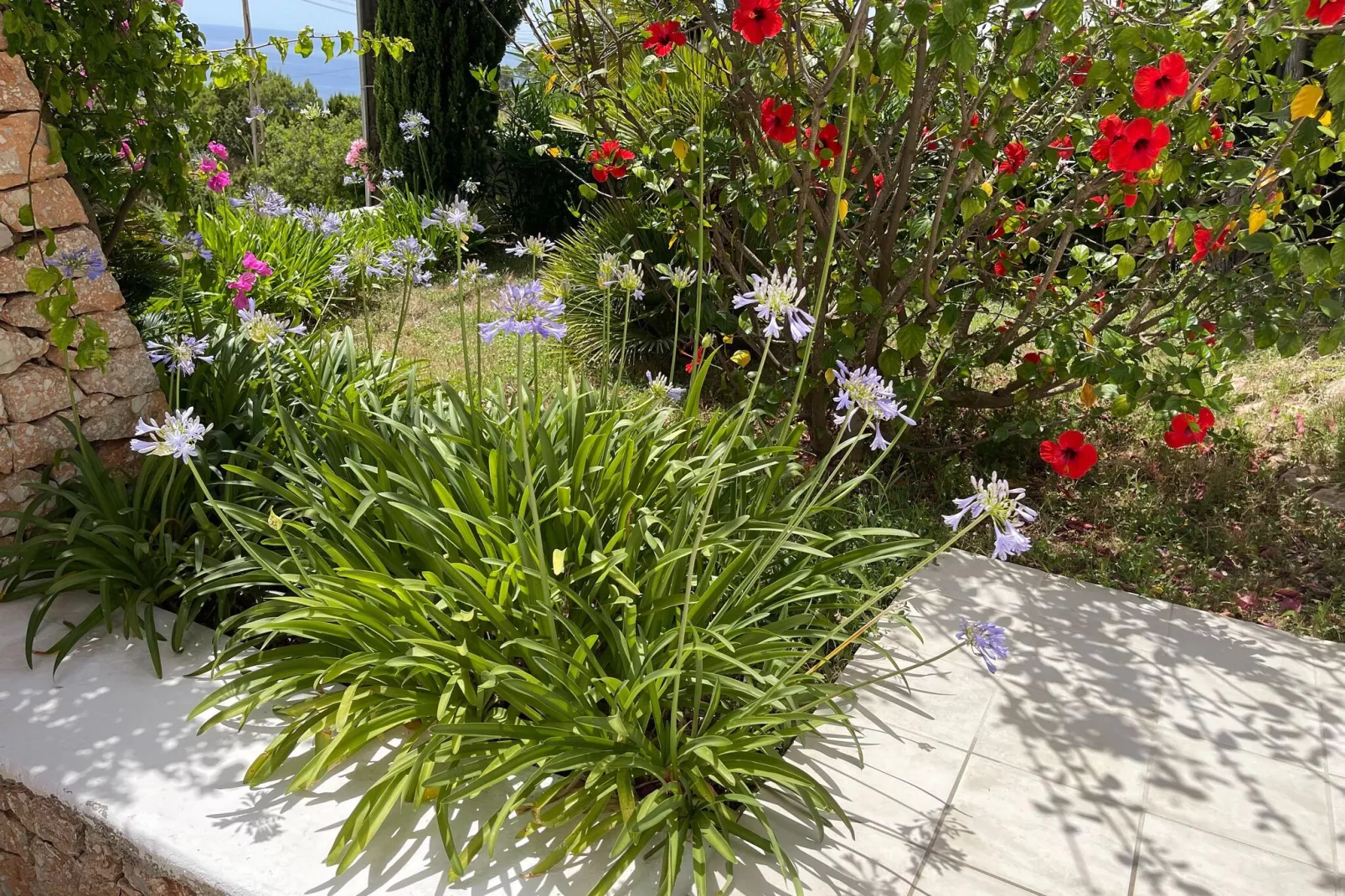 Es Queixal-Gardens summer