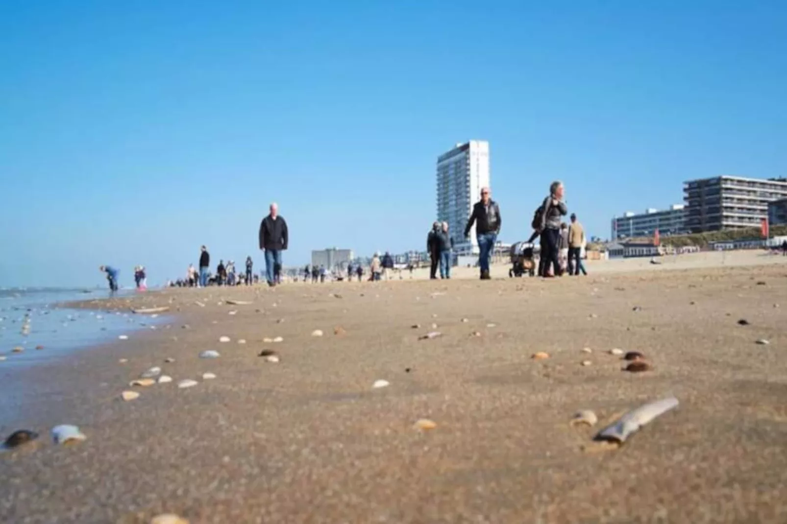 Studio Zwinkels-Non tagué