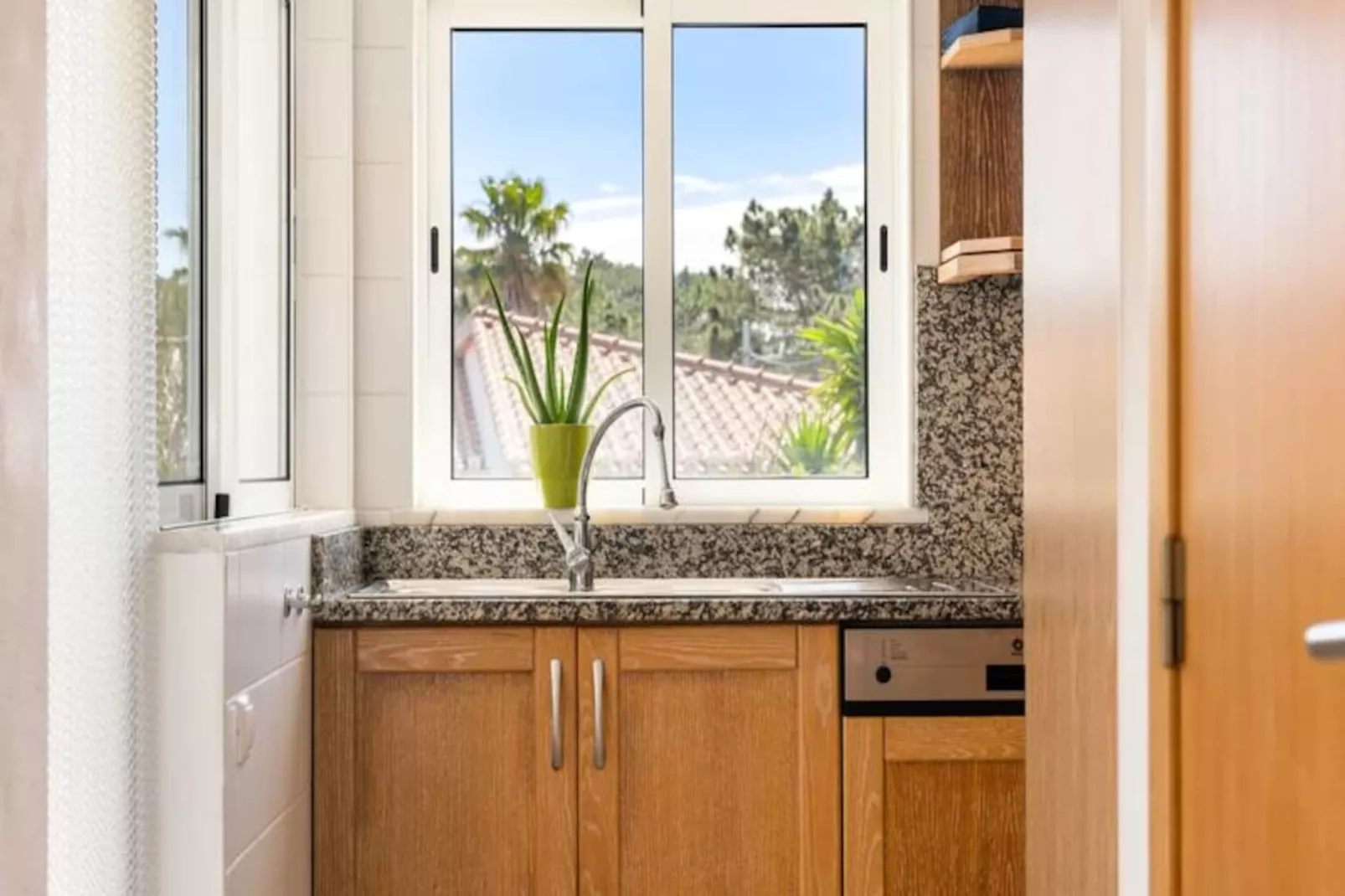 Duas Palmeiras-Nicht zugeordnet