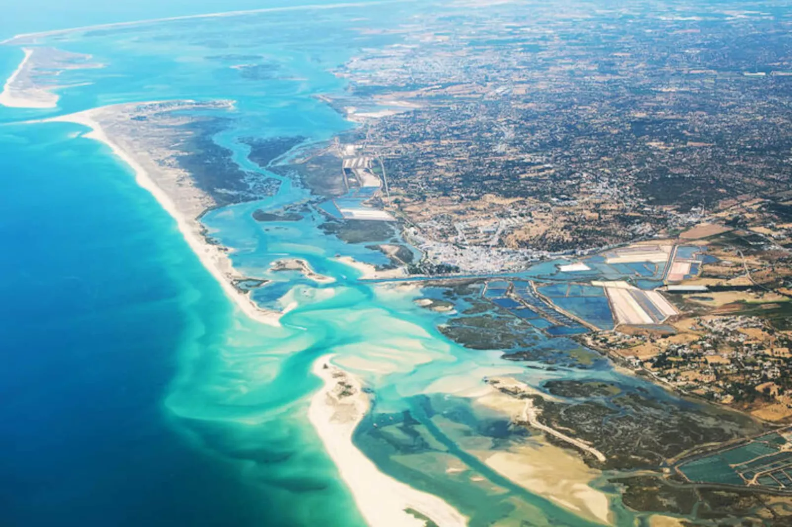 Perdiz Do Mar - Barreta-Untagged