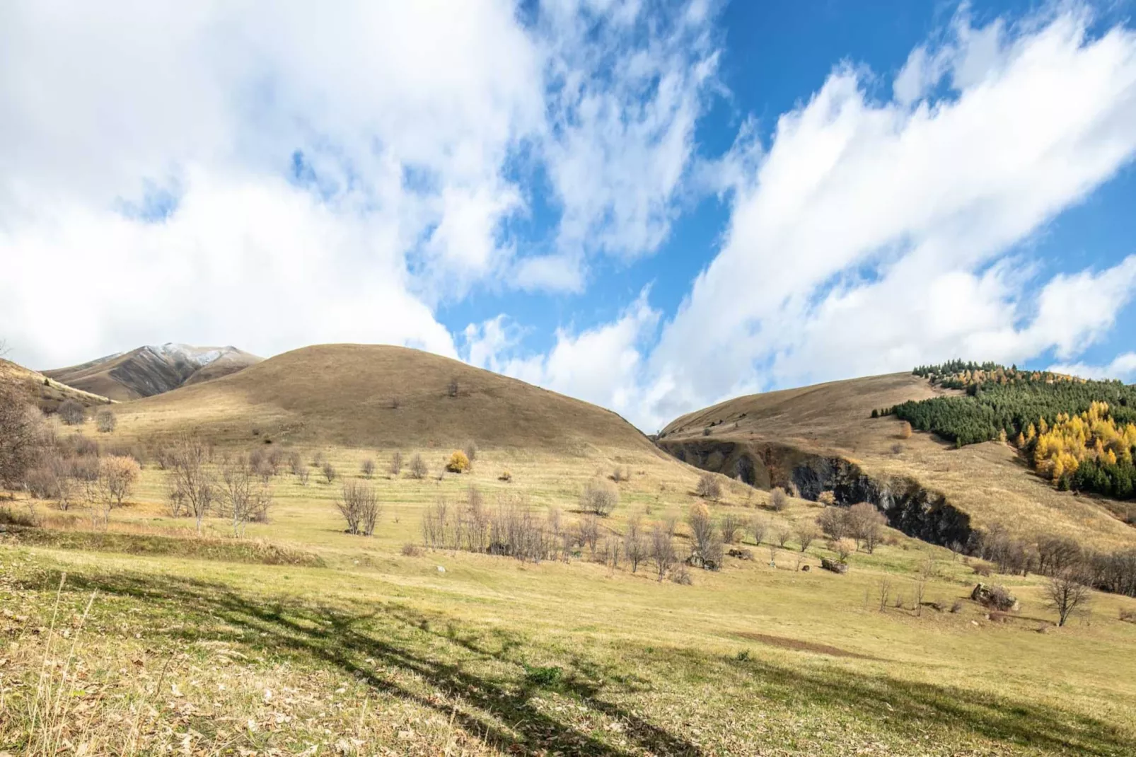 Les Grizzlis N°21 - 2P6 - Areas within 20km in summer