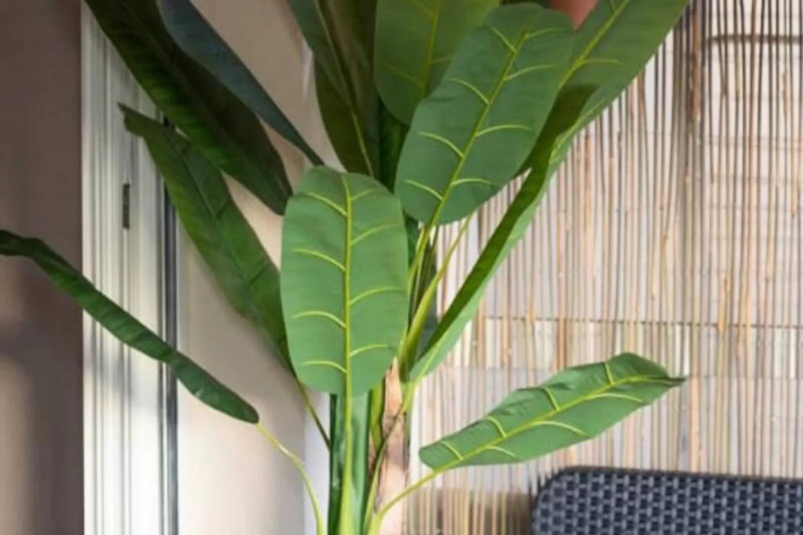 06k2 - Joli Studio Climatisé - Terrasse Vue Mer-Nicht zugeordnet