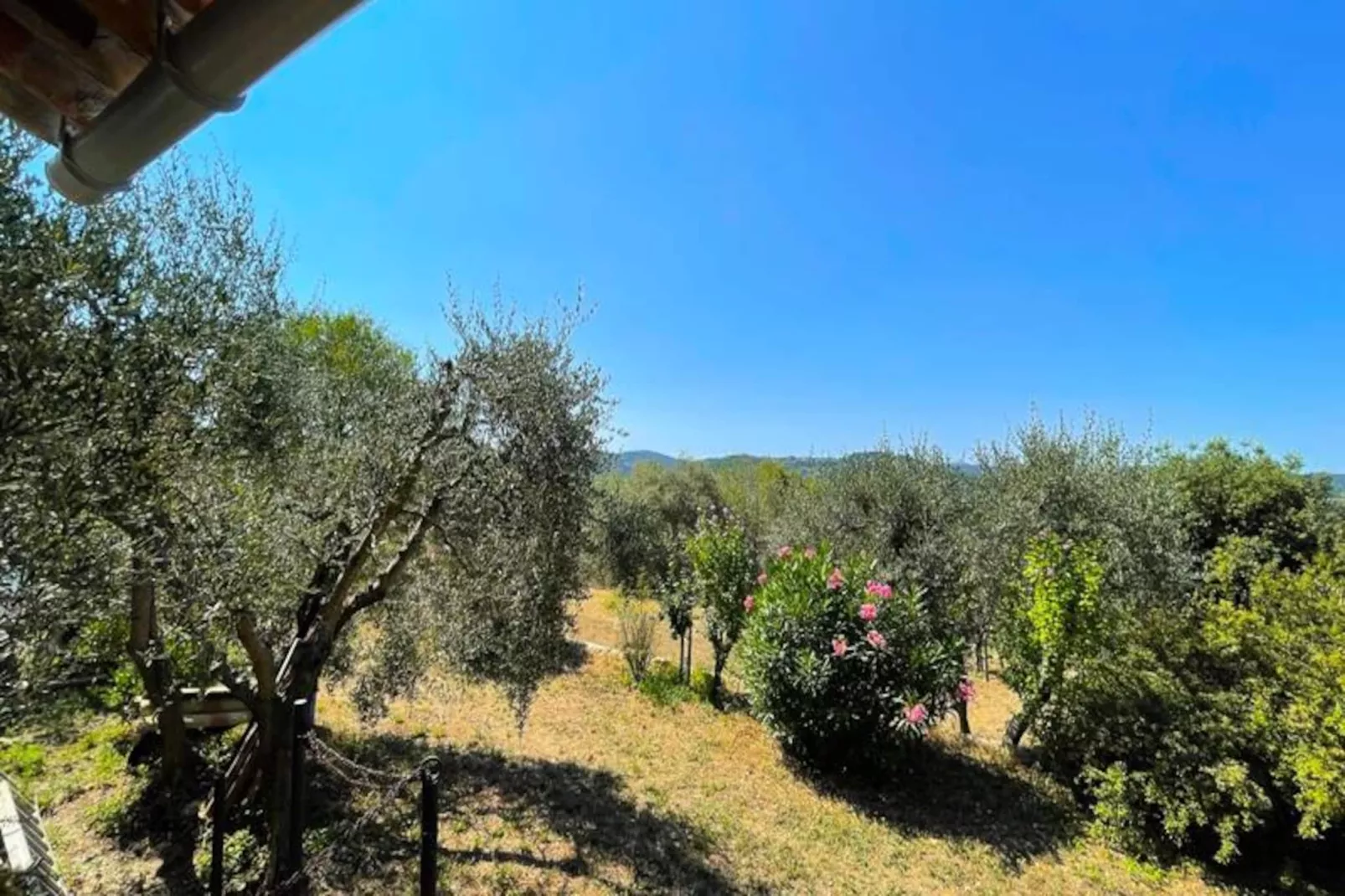 Charmant Mas 6 Pers &agrave; Peymeinade - 20 Min De Cannes-Untagged