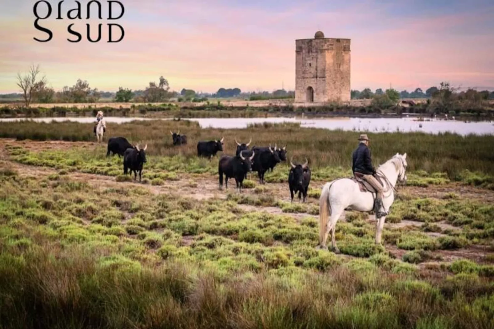 Résidence L'or&eacute;e De Camargue Studio Avec Cour-Nicht zugeordnet