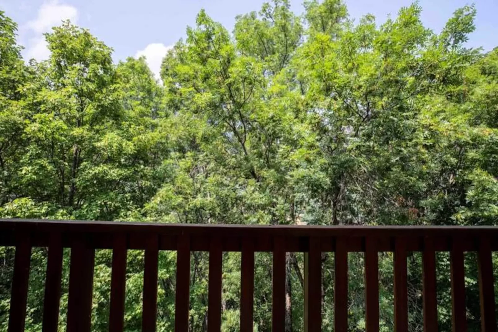 Fauvettes 4-Untagged