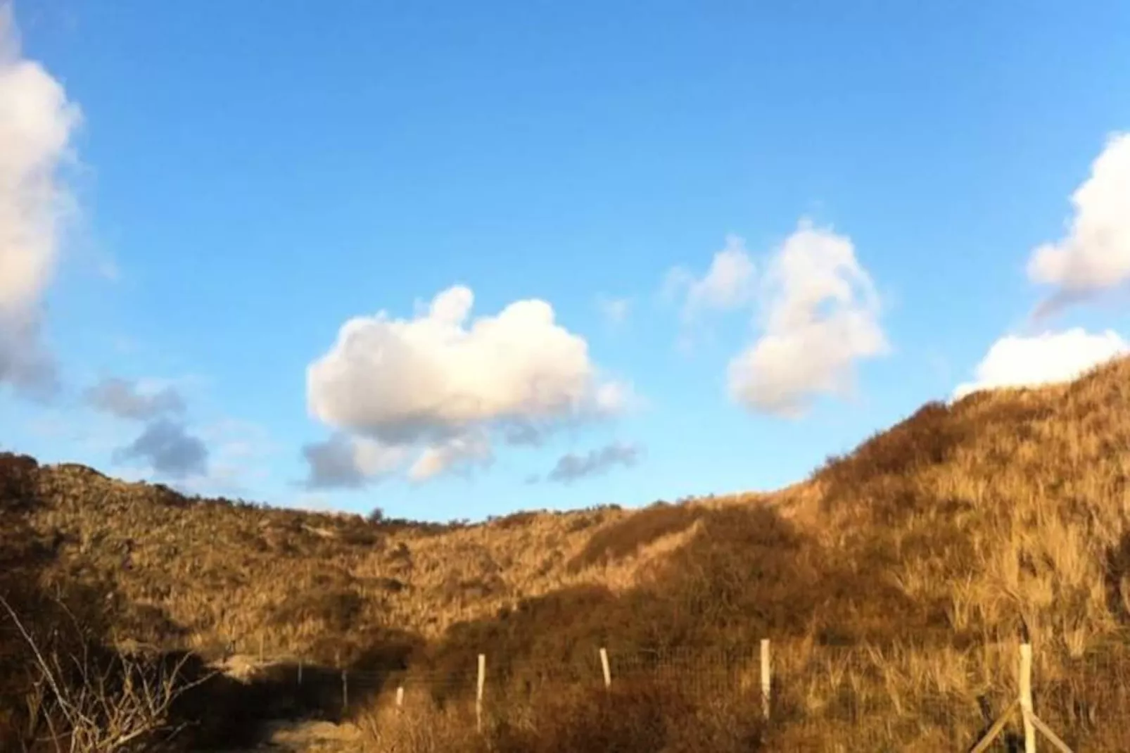 Cute Beach House-Non tagué