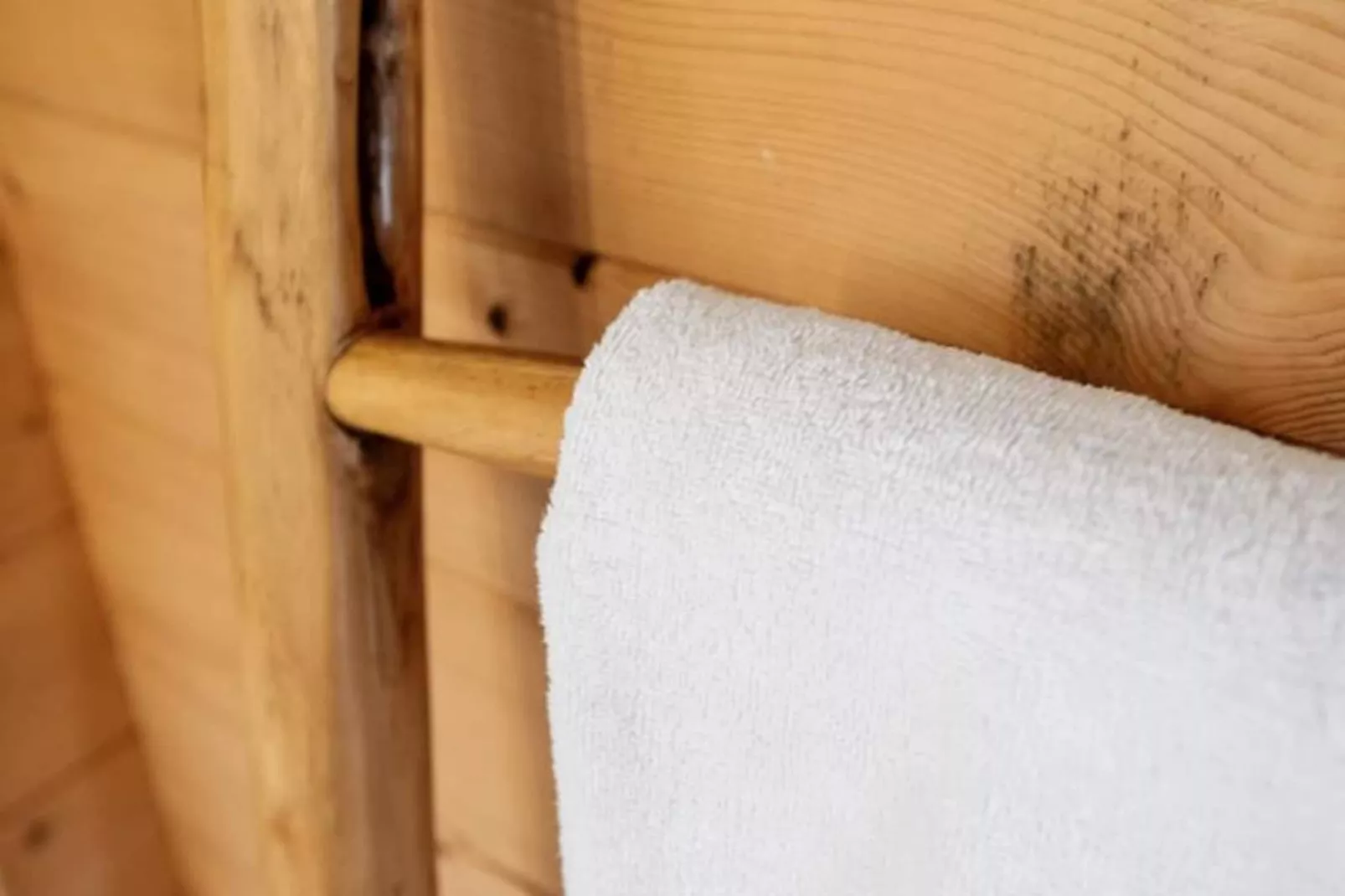 The Sea Lodge-Non tagué