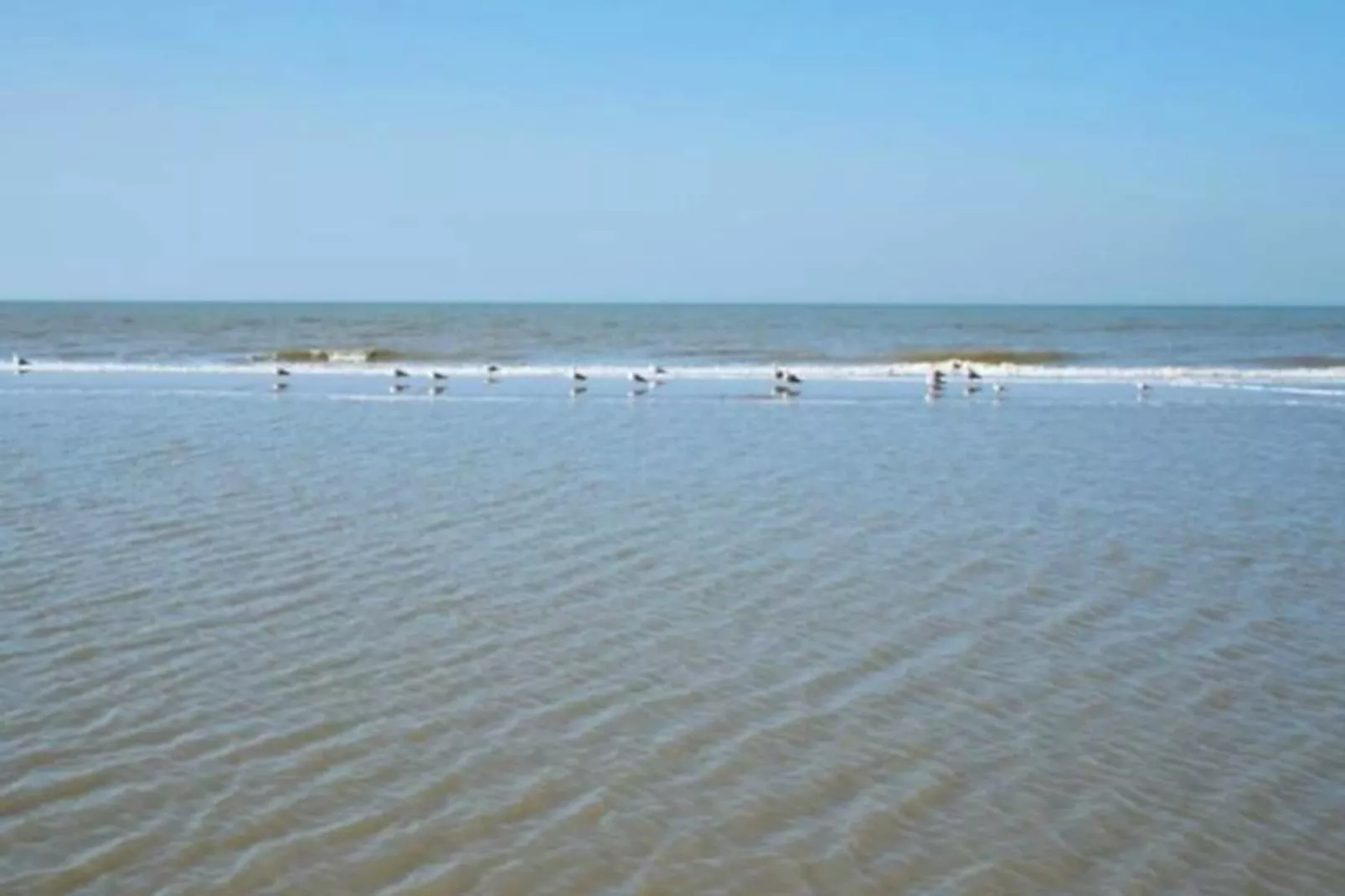 Studio Zwinkels-Non tagué