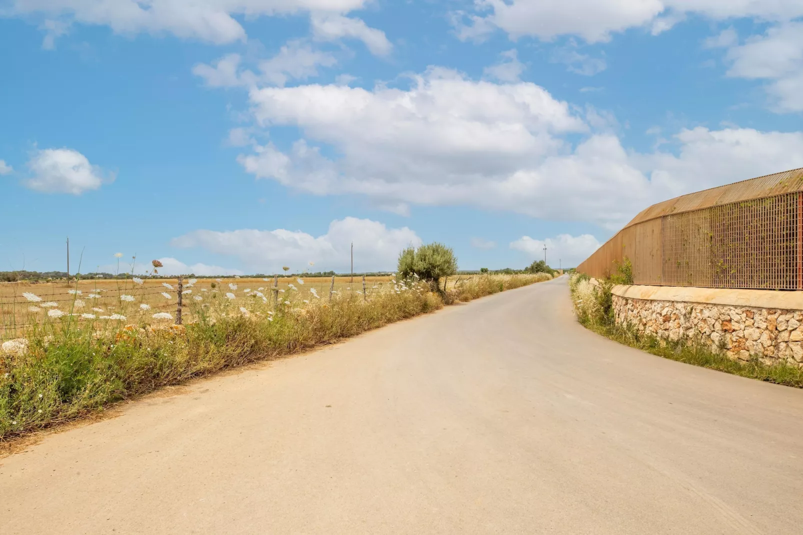 El Taller-Areas within 1km in summer