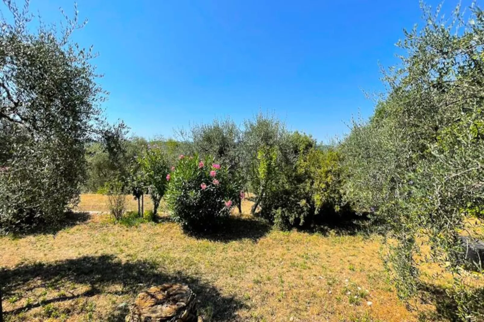 Charmant Mas 6 Pers &agrave; Peymeinade - 20 Min De Cannes-Untagged