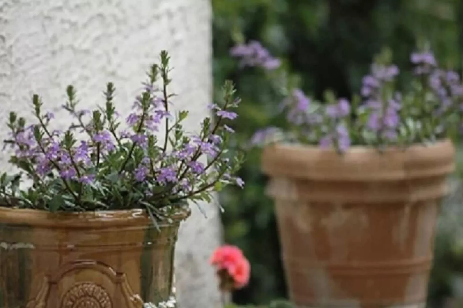 Résidence La Maison De Constance - Charmante Maison Proven&ccedil;ale 3 Chambres-Untagged