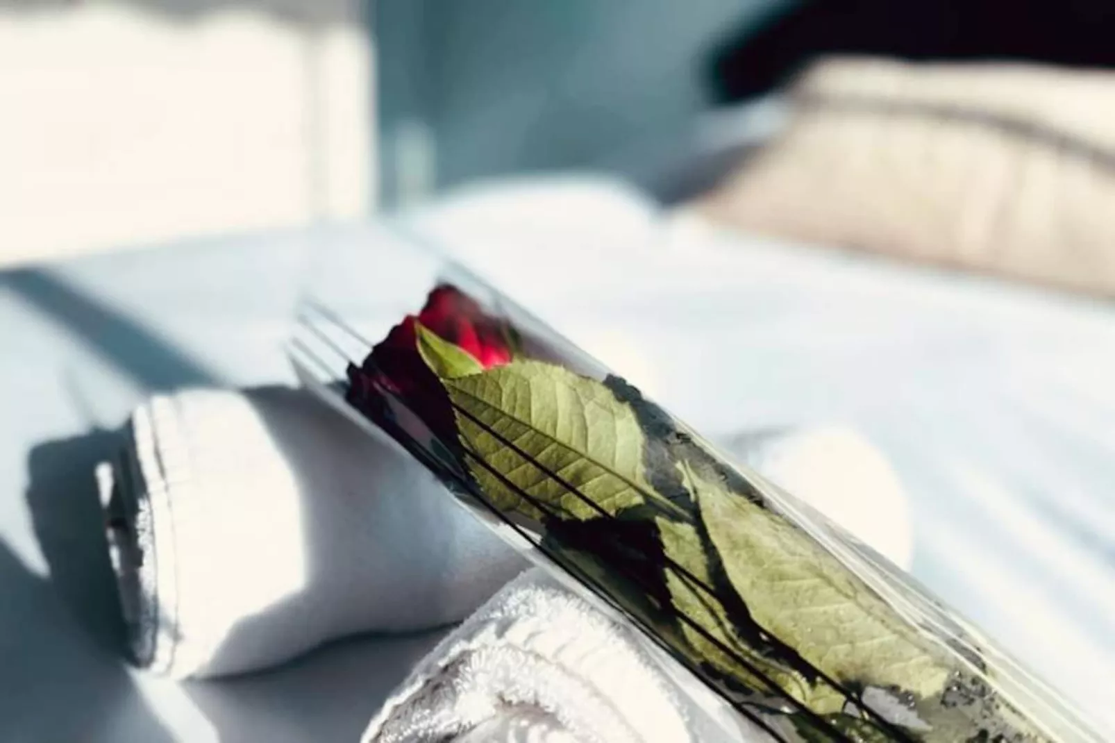 Résidence Le Flamant Appartement 2 Chambres Dernier &eacute;tage Vue Mer-Non tagué