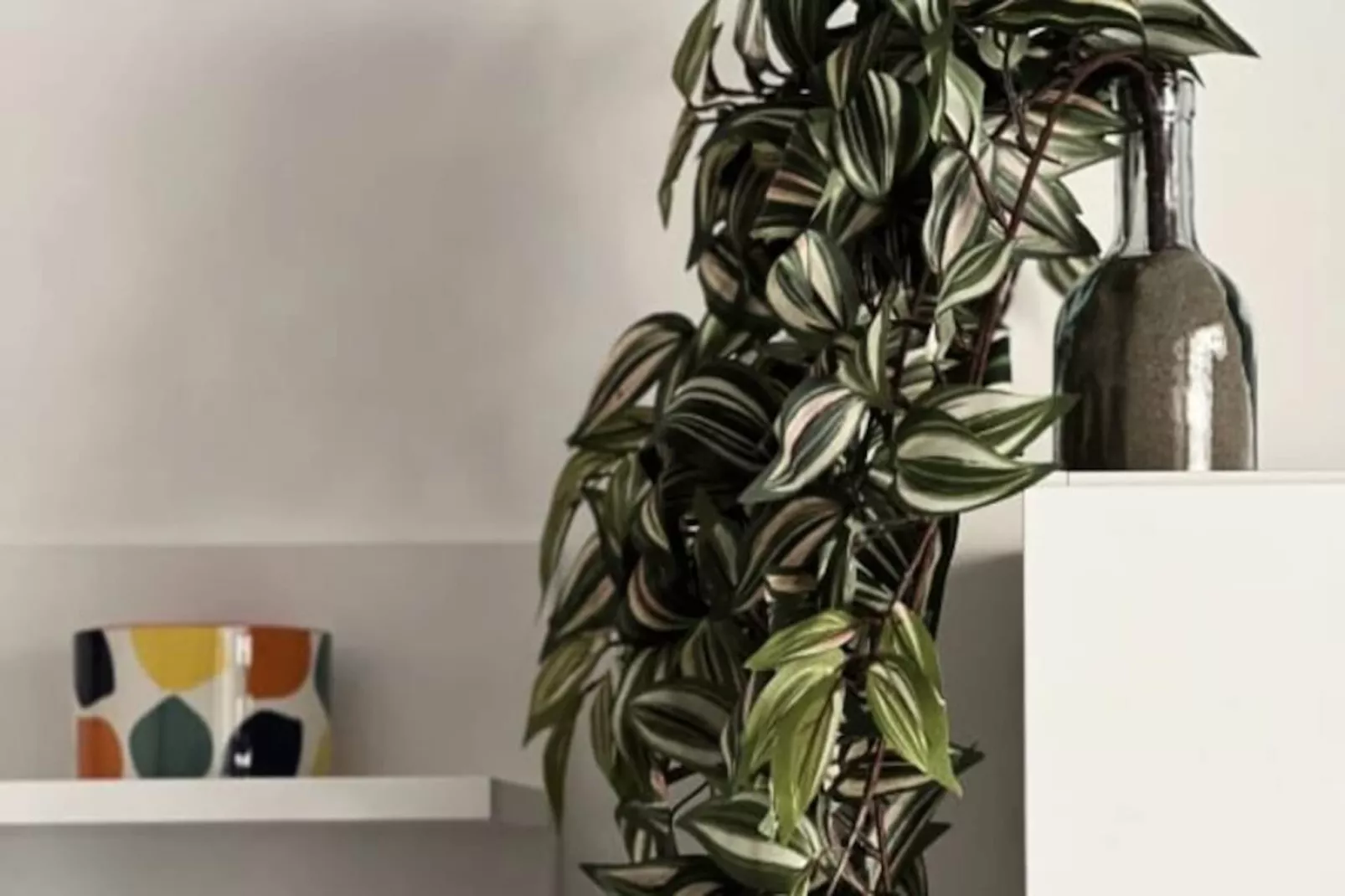 Résidence Villa Marie 2: Appartement Tout Confort Climatis&eacute; 1 Chambre Proche Plage-Non tagué