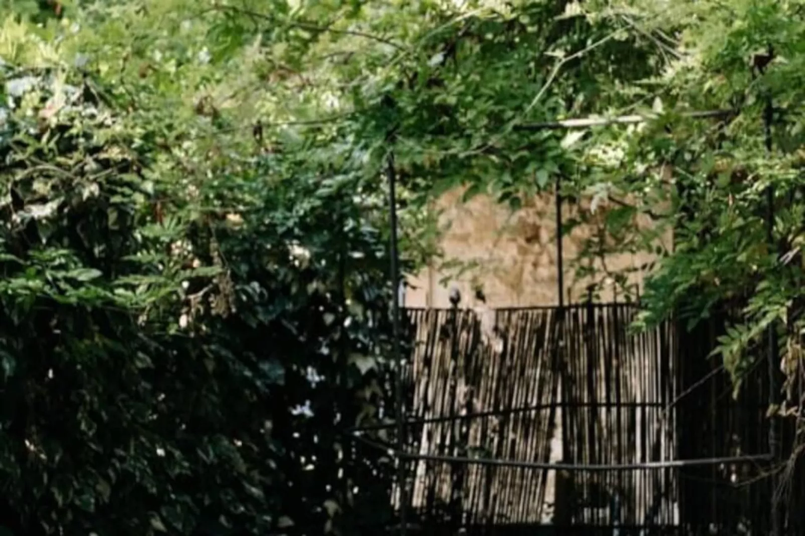 84b7 - Logement Dans Mas De Charme Du Xviii&egrave;me Si&egrave;cle-Nicht zugeordnet