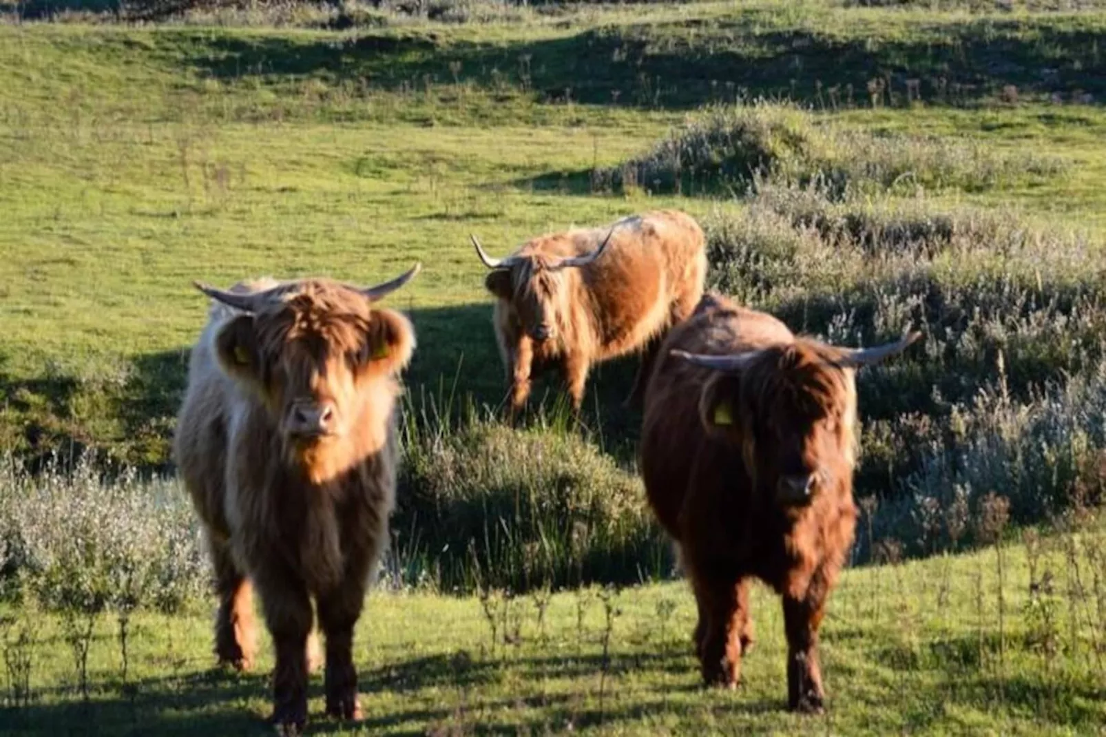 Cute Beach House-Non tagué
