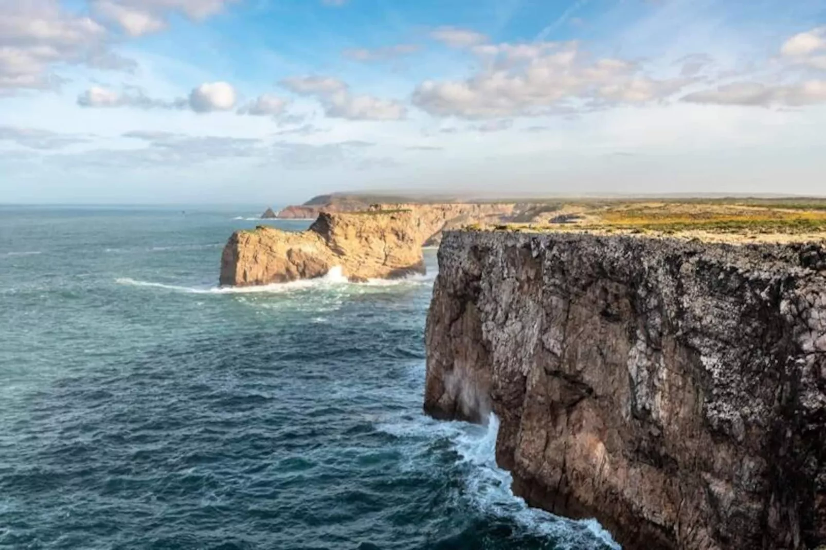 Perdiz Do Mar - Barreta-Untagged