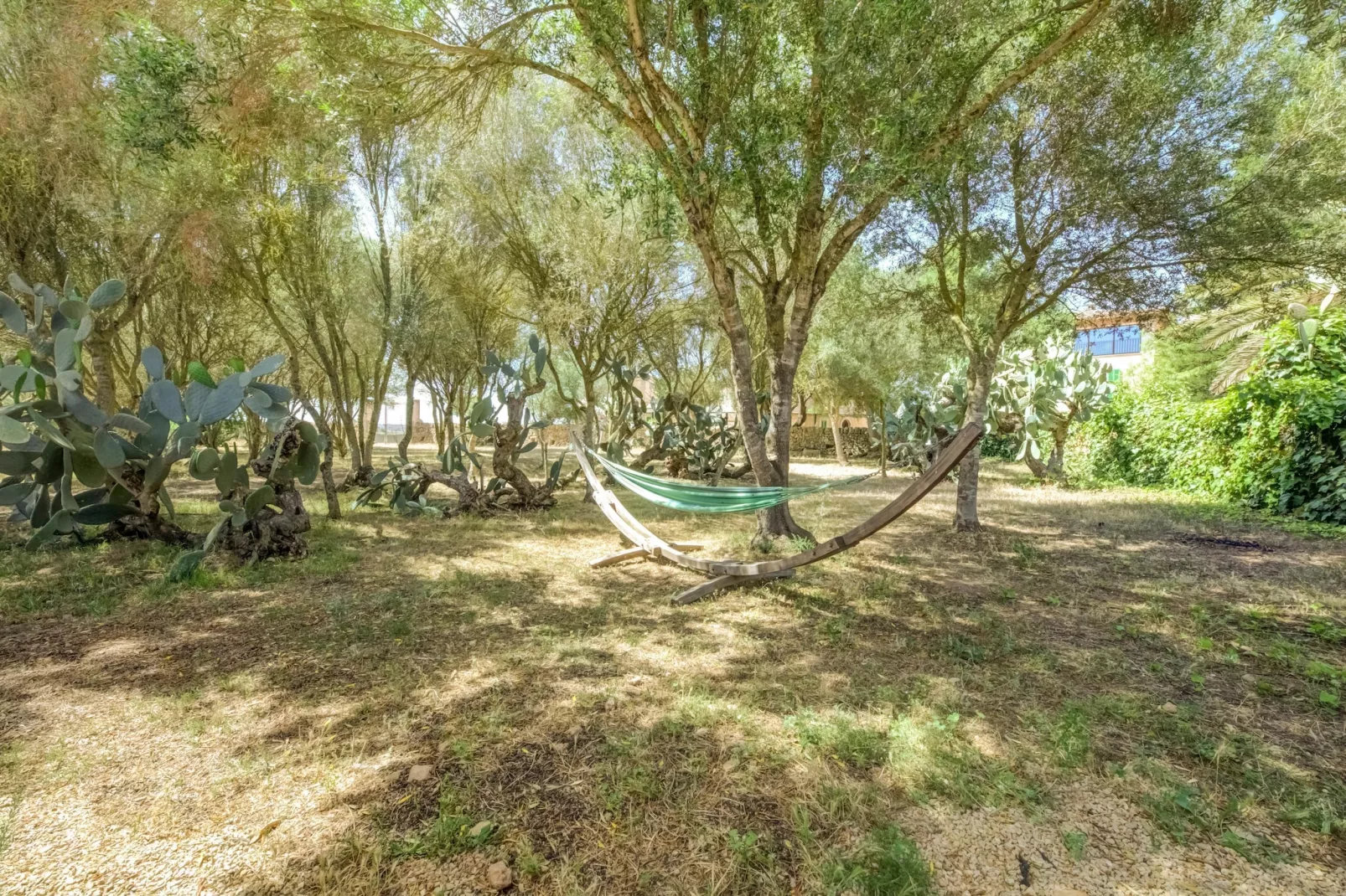 Gallinero-Areas within 1km in summer