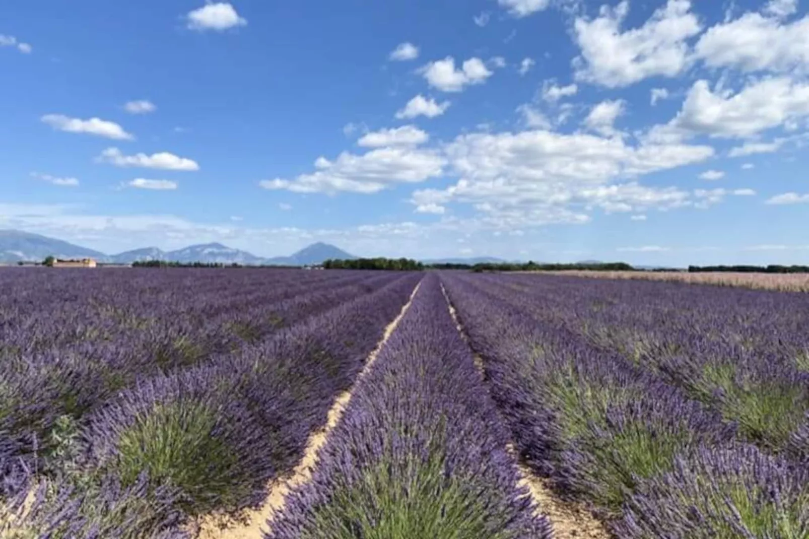 04b9 : Beau T3 Au Coeur Des Lavandes - Piscine-Untagged