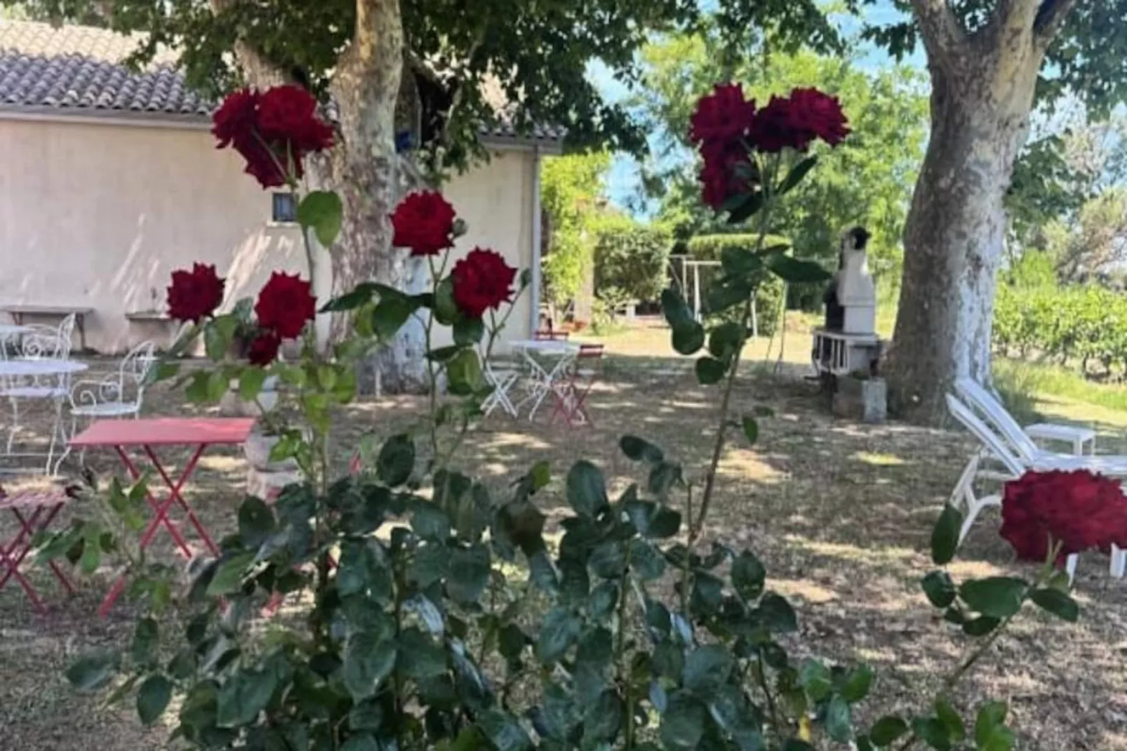 Résidence G&icirc;te De La Cave - Charmant G&icirc;te Proven&ccedil;al Avec Une Chambre-Untagged