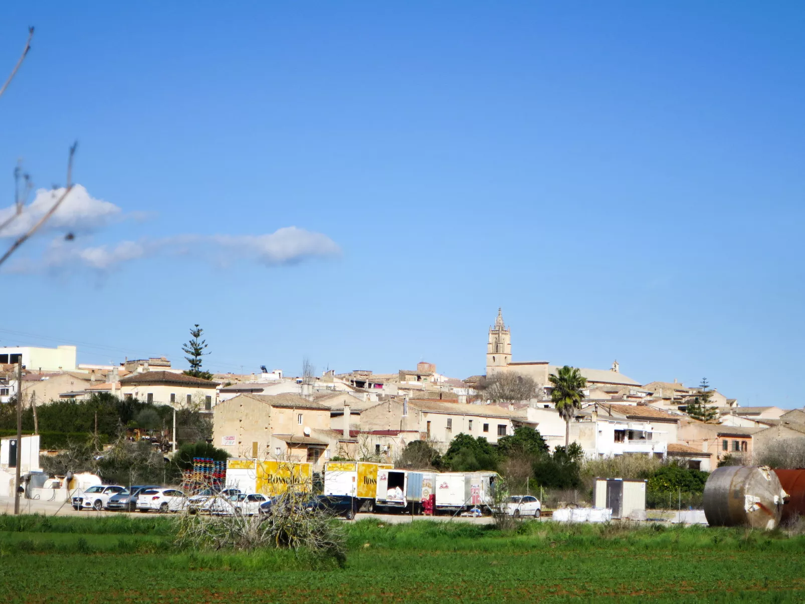 Son Mulet-Environnement