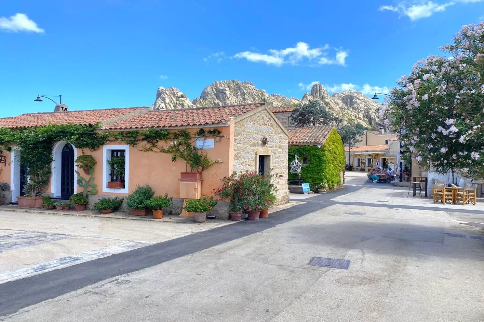 Trilo 6-Areas within 20km in summer