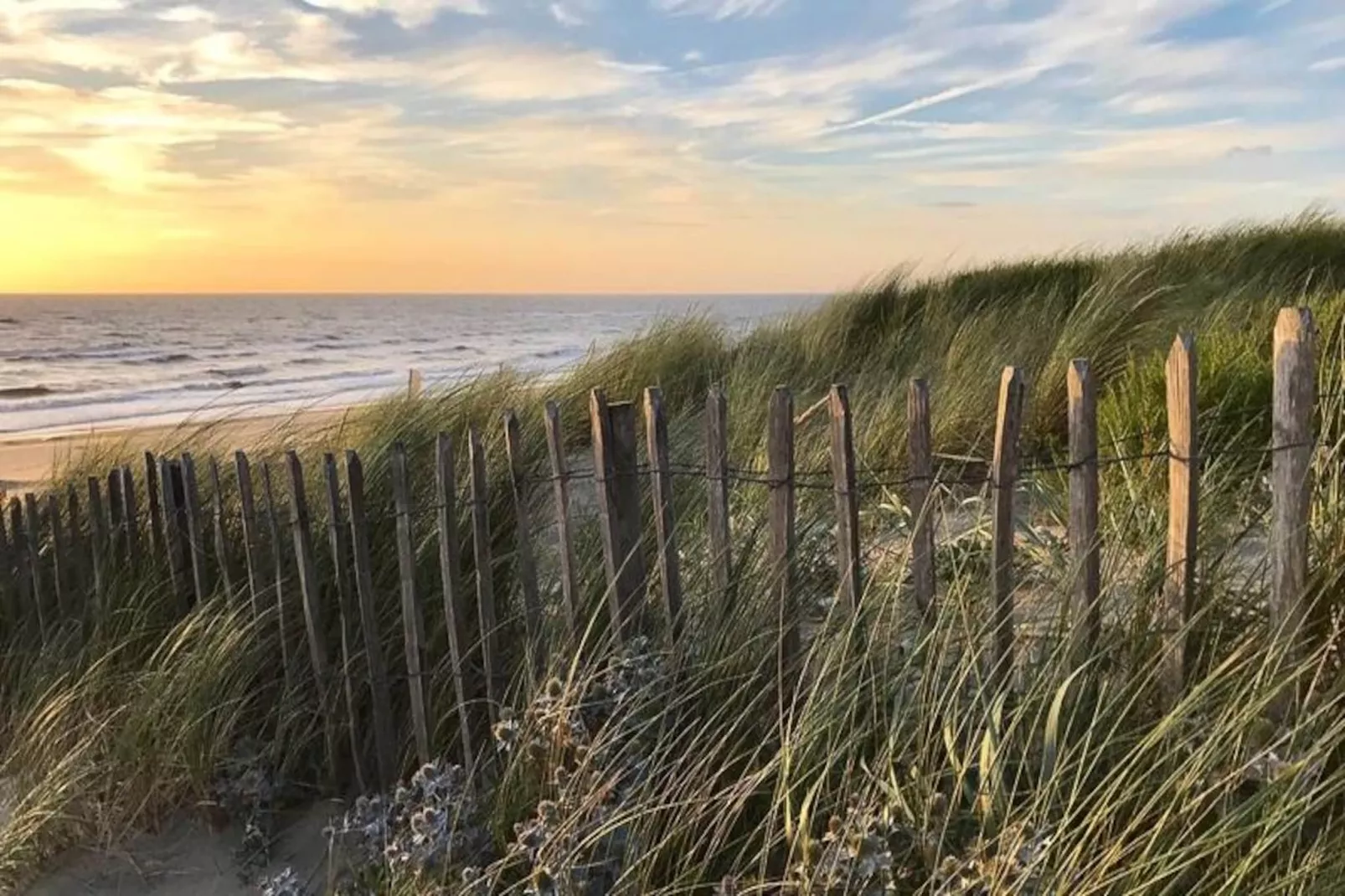 Oasis Zandvoort - Parking Gratuit-Non tagué