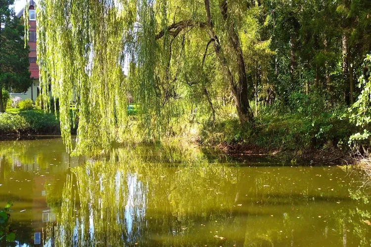 Dom wakacyjny w Szymbarku dla max 8 osób-Gardens in summer