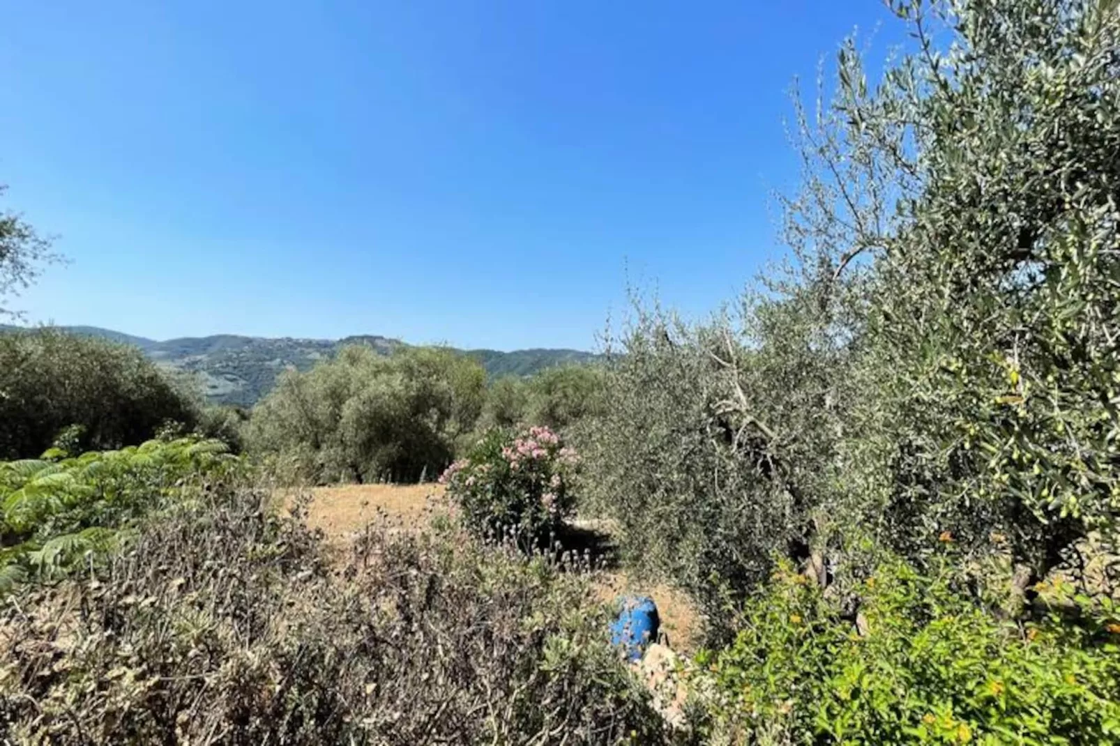 Charmant Mas 6 Pers &agrave; Peymeinade - 20 Min De Cannes-Untagged