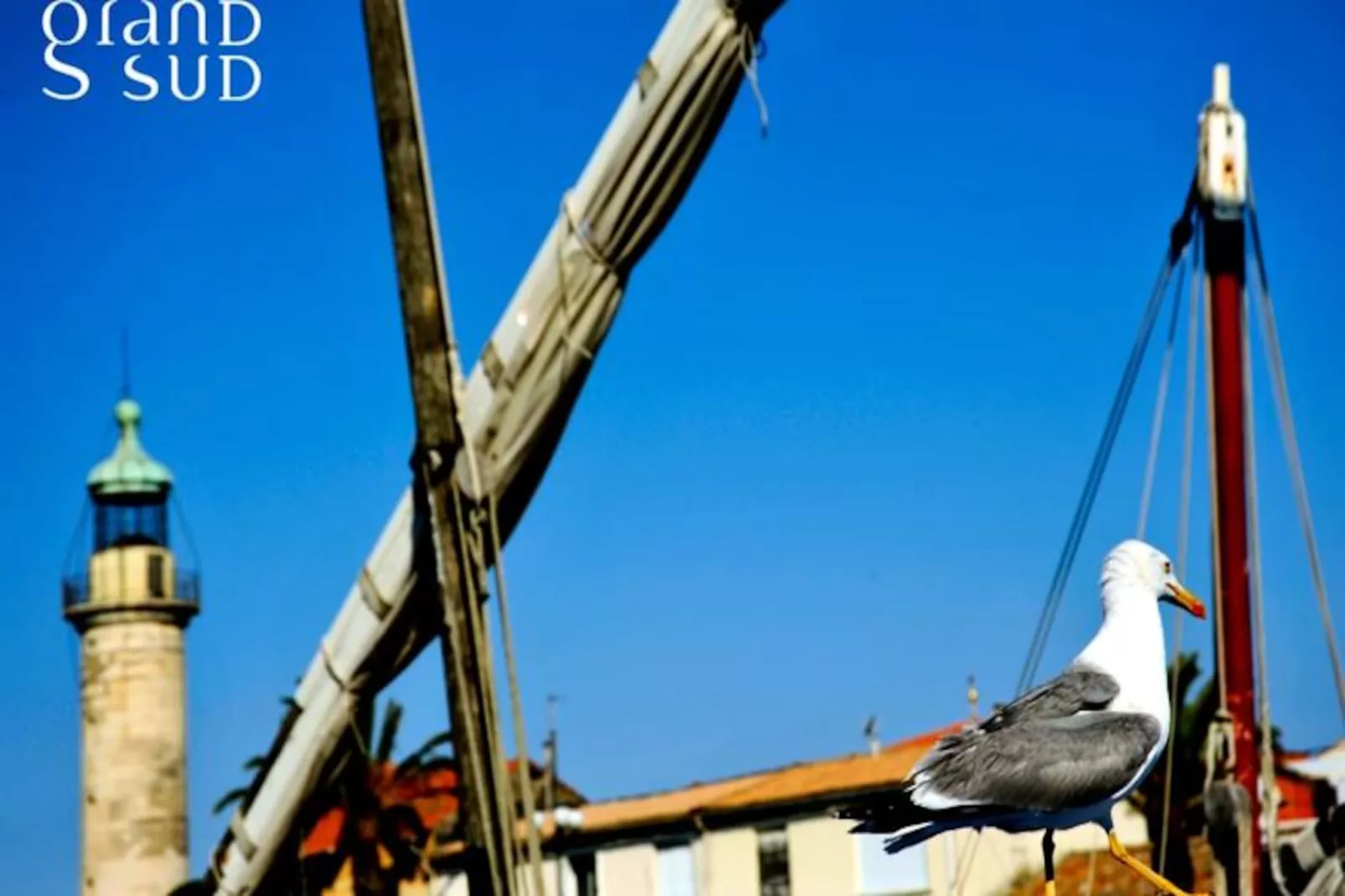 Résidence La Marina De Lairan : 2 Chambres Terrasse Vue Port De Plaisance-Nicht zugeordnet