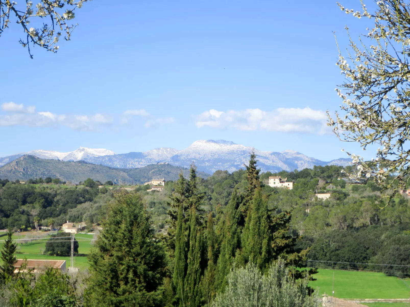 Son Mulet-Environnement