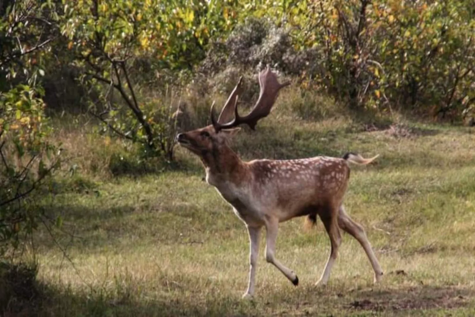 Family Stay Zandvoort-Non tagué