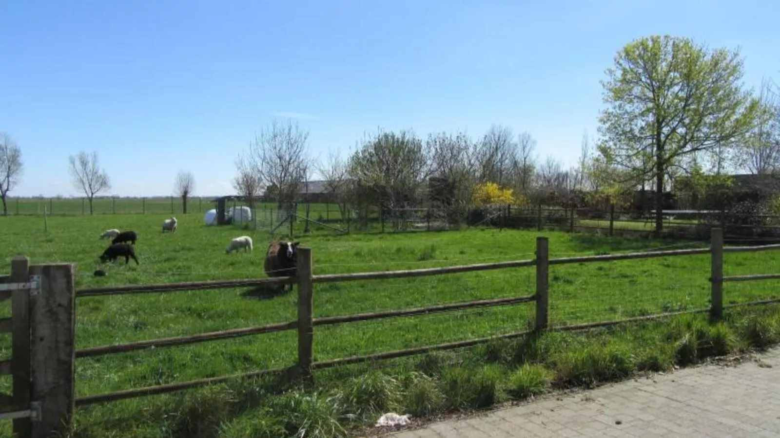 Frontzate-View in summer