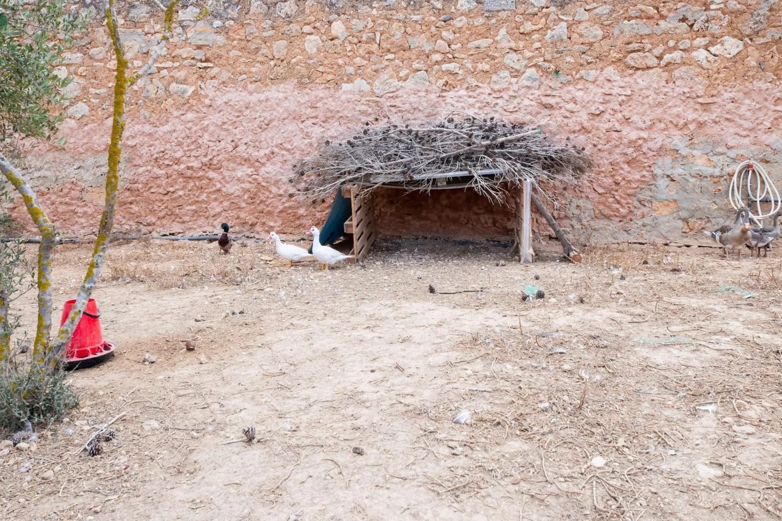 El Taller-Areas within 1km in summer