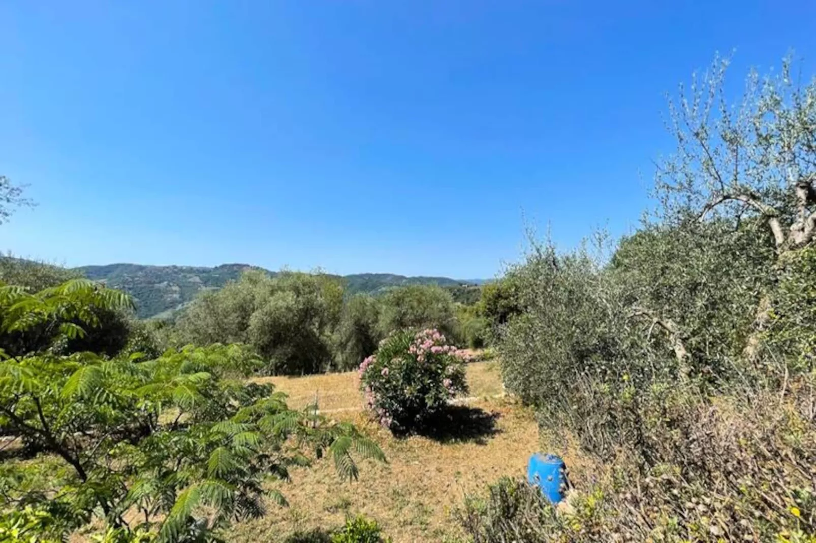 Charmant Mas 6 Pers &agrave; Peymeinade - 20 Min De Cannes-Untagged