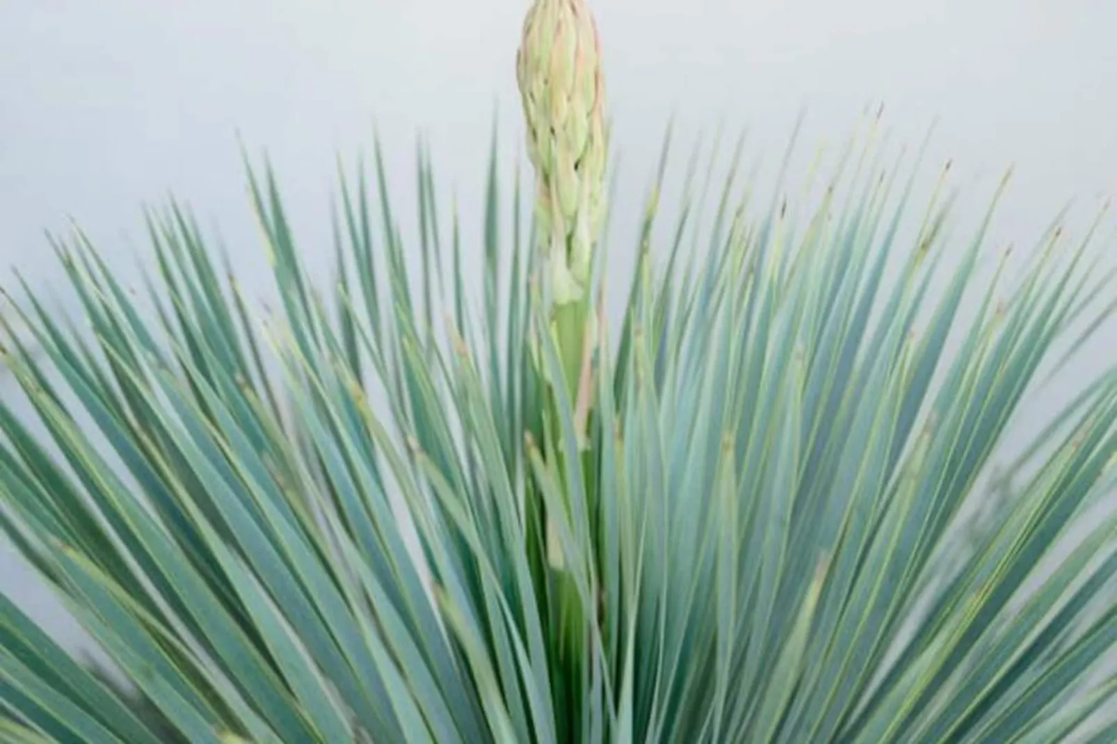 Résidence La Perle Rose Villa Standing 5 &eacute;toiles Avec Piscine Jacuzzi Et Superbe Vue-Nicht zugeordnet