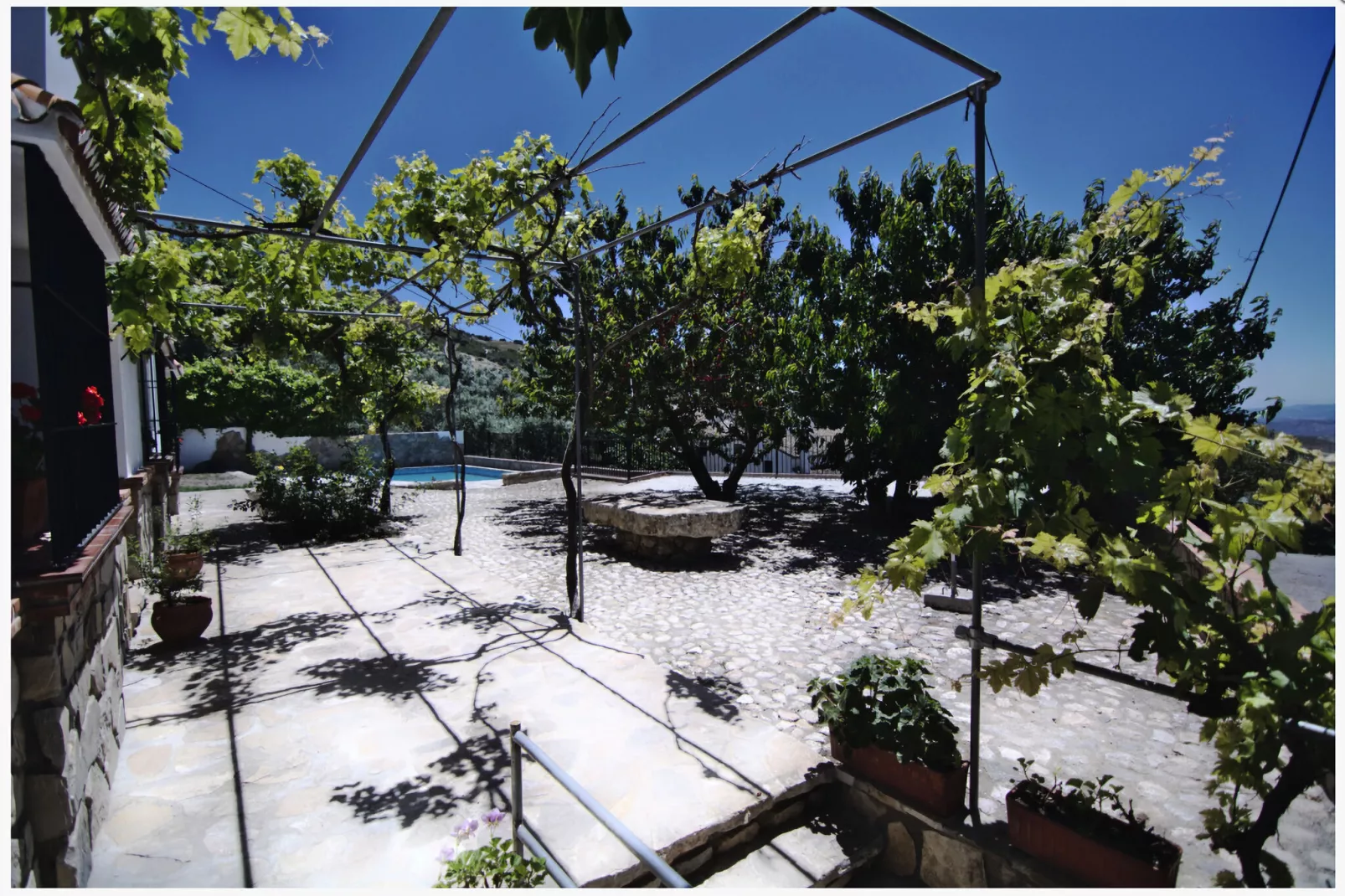 Casa Almendro-Gardens summer