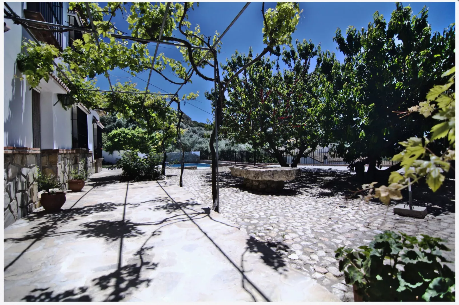 Casa Almendro-Gardens summer