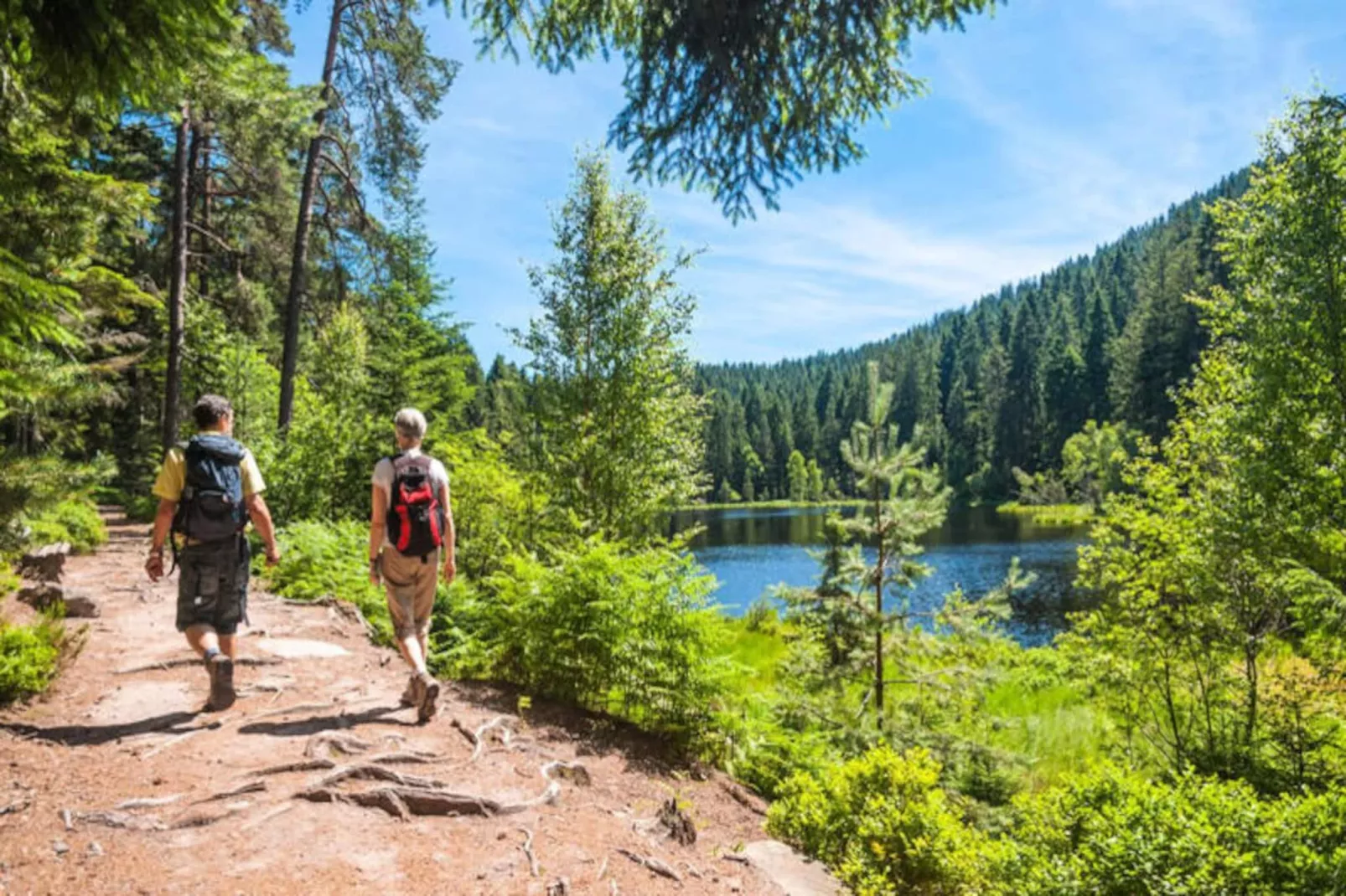 AlpResort Portes du Soleil ****-Untagged