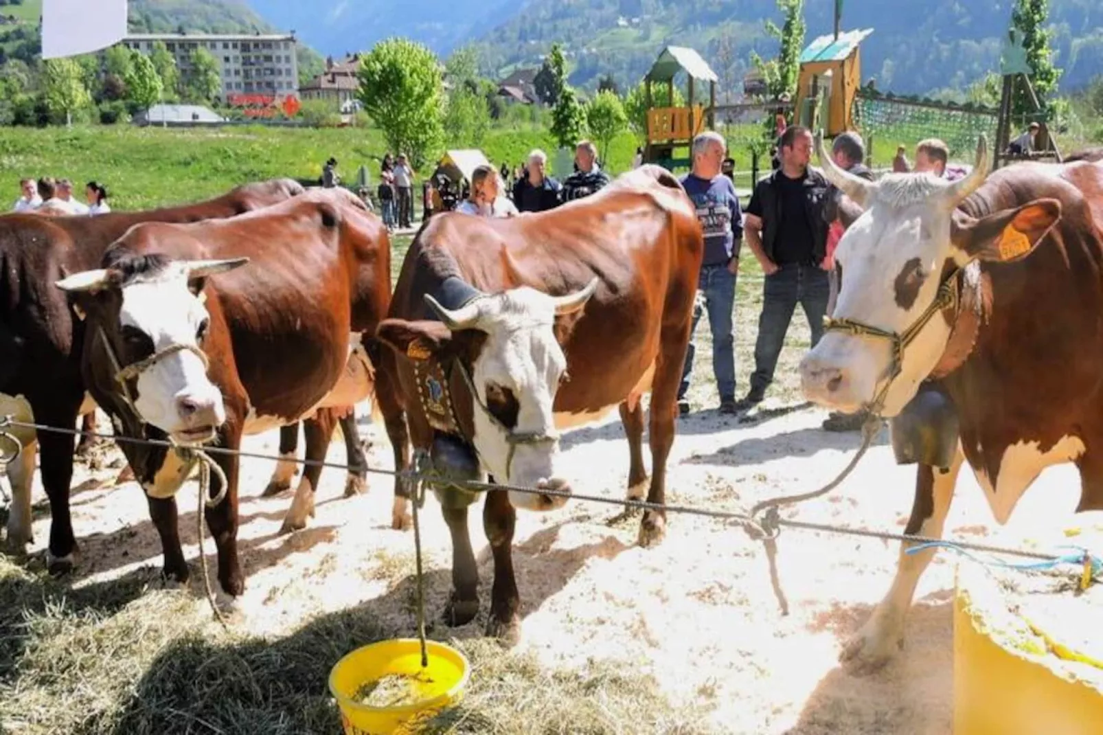 AlpChalets Portes du Soleil *****-Non tagué