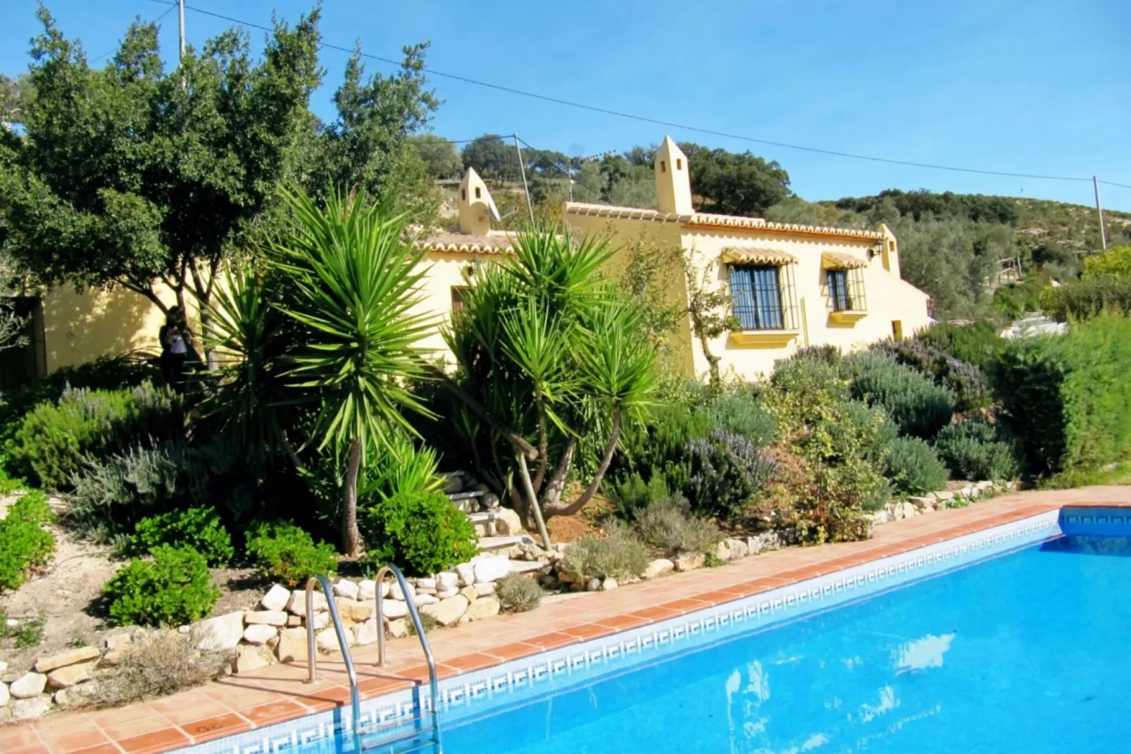 Cortijo Los Olivos-Pool