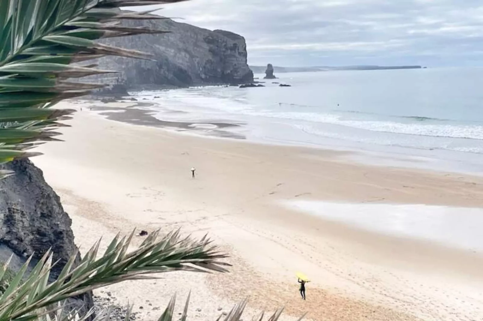 Gaivota Espartal-Nicht zugeordnet